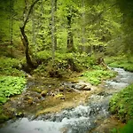 Der Tiroler 3* Achenkirch