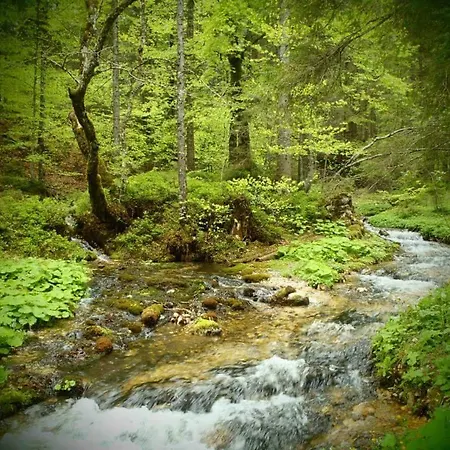 Bed & Breakfast Der Tiroler 3* Ахенкирьх