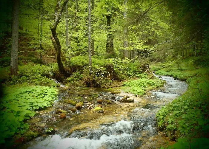 Der Tiroler 3* Achenkirch